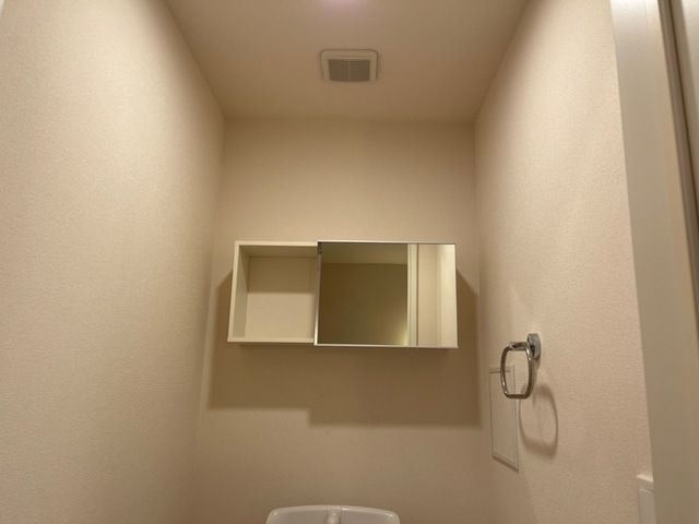 ドロイトＭＳのその他
