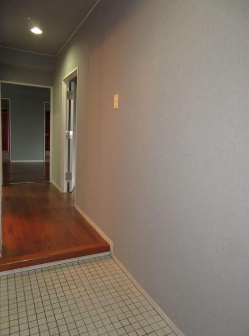 丸一ビル【キャッシュバック】の玄関|落ち着いた玄関です