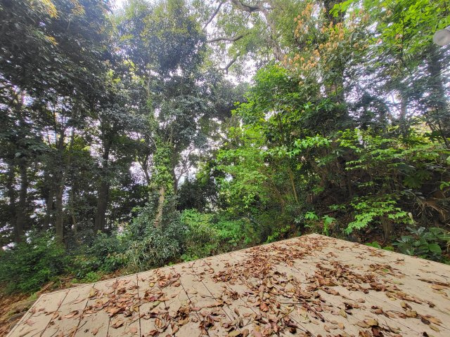 【庭】 | 伊都ハイランドパーク内別荘