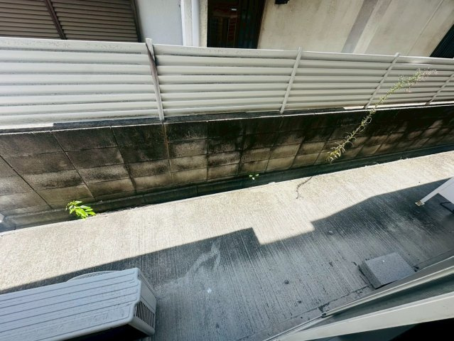 ブランシェ池上の庭