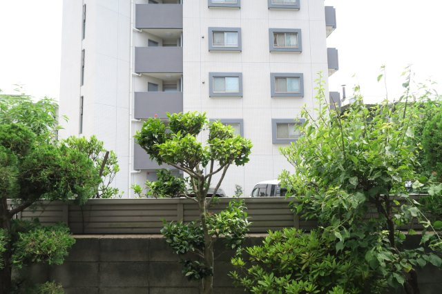 コトブキハイツの展望