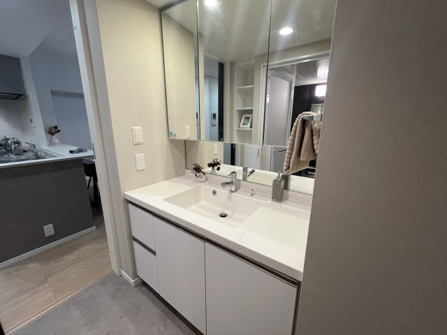 ペットと暮らす南東向きリフォーム【シティテラス大和ブリーズコート】の独立洗面台|朝の身支度には欠かせない独立洗面化粧台