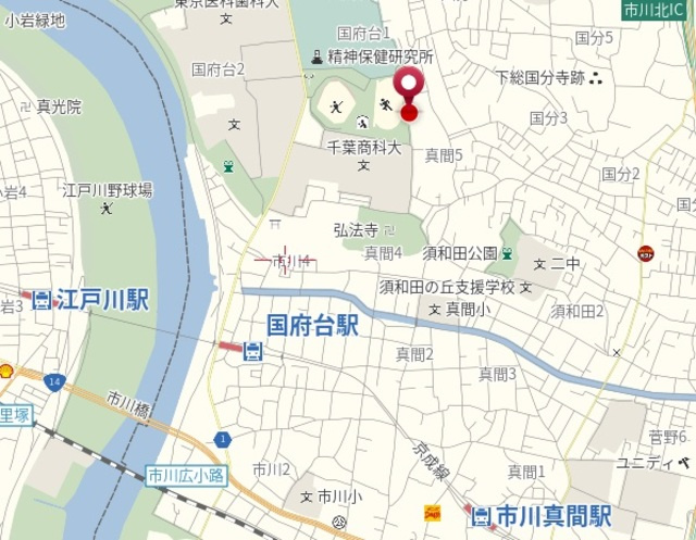 グレースの地図|★案内図★