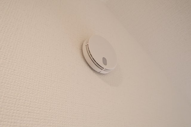 【その他】 | 《仲介手数料無料》練馬区石神井台５丁目25-26(2号棟)新築一戸建てリナージュ | 撮影日 2025年9月28日 11:00 晴れ