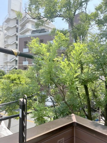 西片2丁目戸建の展望