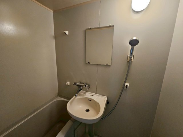 ダイドーメゾン西宮北口XIIIの洗面所