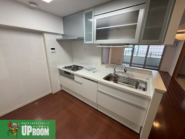 ライオンズステーションプラザ勝川弐番館のキッチン