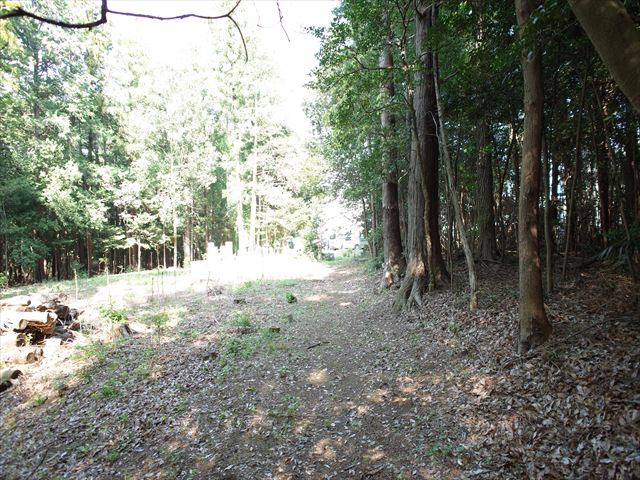 比企郡嵐山町川島　土地375坪の外観