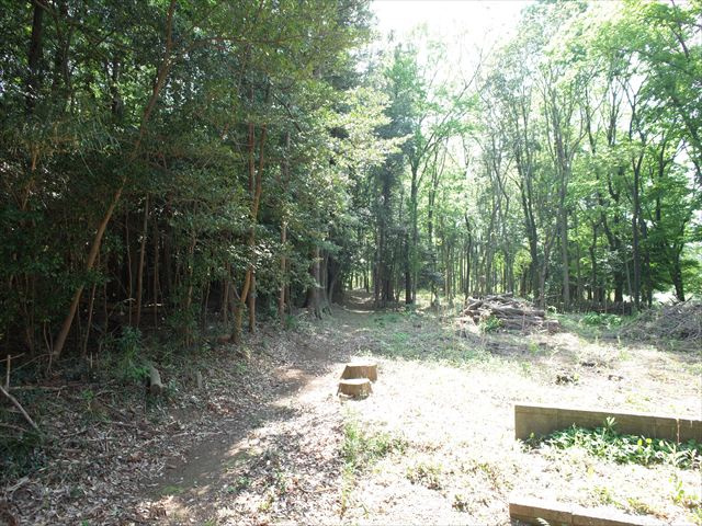 比企郡嵐山町川島　土地375坪の外観