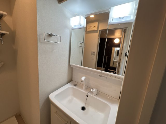 カサ・ヴィアーレⅡの洗面所