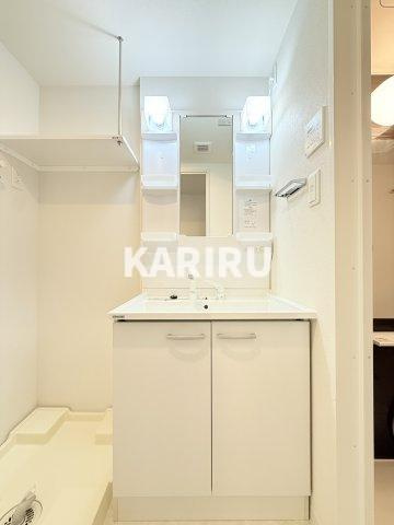 Alivis緑橋の洗面所