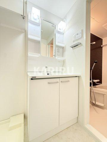 Alivis緑橋の洗面所