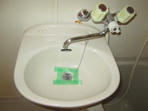 ロイヤルエモンド藤沢の洗面所