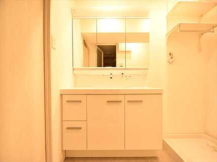 ファミール江波公園ツインズ弐番館の独立洗面台