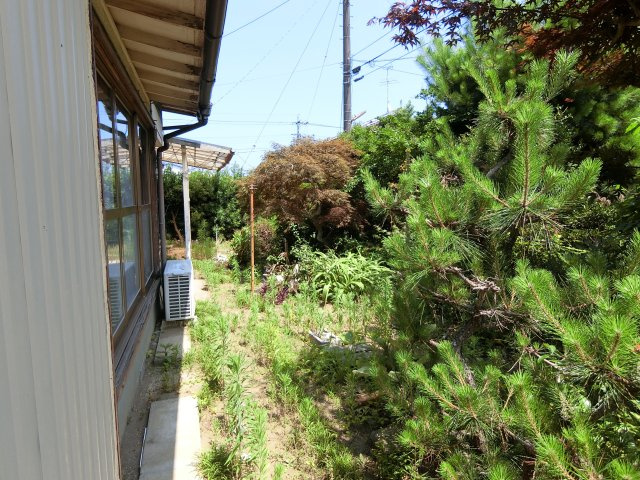 レンテ中の島の庭