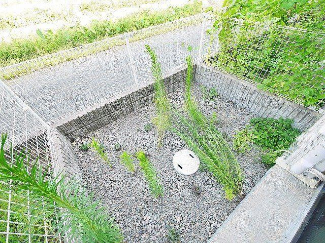 レオパレス西畑の庭|お庭が付いています