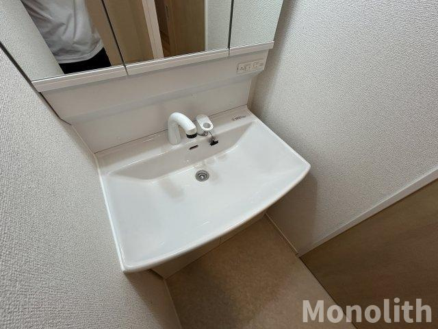 メゾンヴォロンテⅠの洗面所