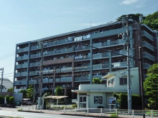 代表写真を掲載しております。