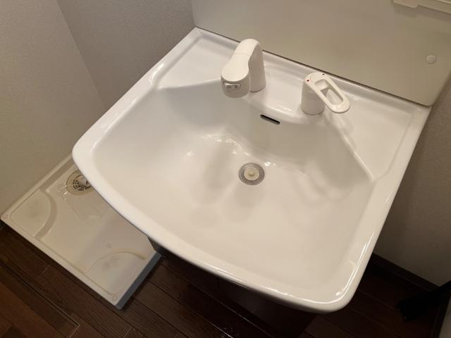 Casa Lienzoの洗面所