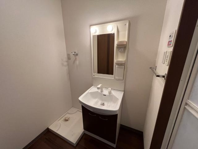 Casa Lienzoの洗面所