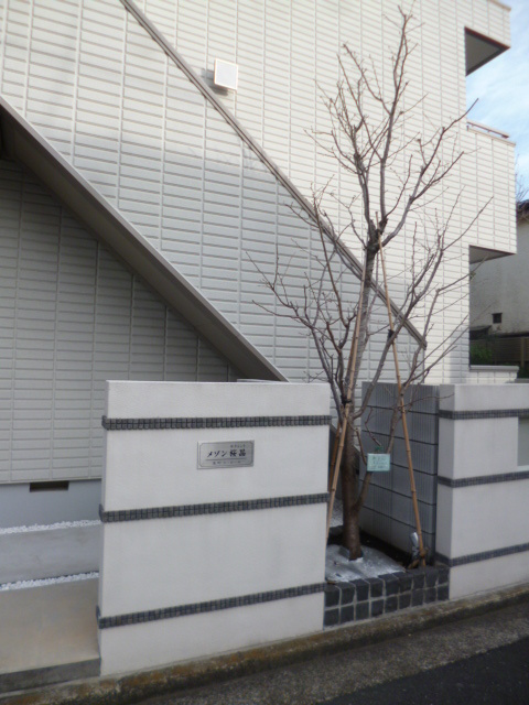 メゾン桜晶のエントランス