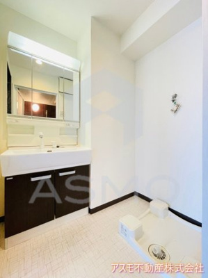 【洗面所】 | S-FORT福島La luna | 同マンション別部屋　参考写真