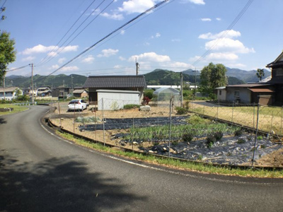 【前面道路含む現地写真】 | 市島町東勅使平家（商談中）