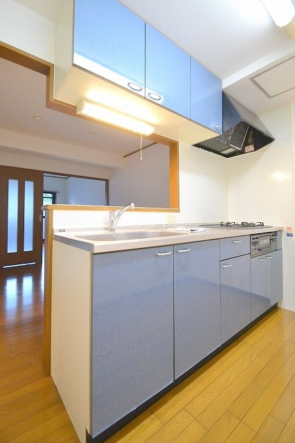 広島市西区己斐上２丁目の賃貸マンションの内装