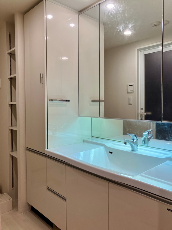 アーデル・フェリエ国立東の洗面所