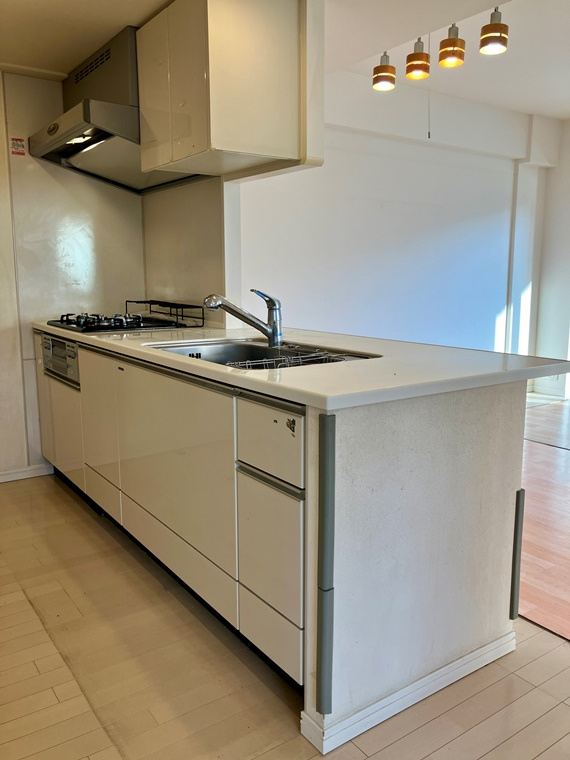 アーデル・フェリエ国立東のキッチン