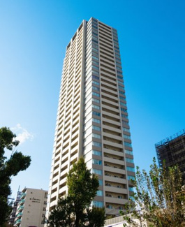 【外観】 | ジオタワー南堀江 | 【外観】木々の形象と鮮やかなコントラストをなすスタイリッシュなフォルム。南堀江の街と調和する佇まい。