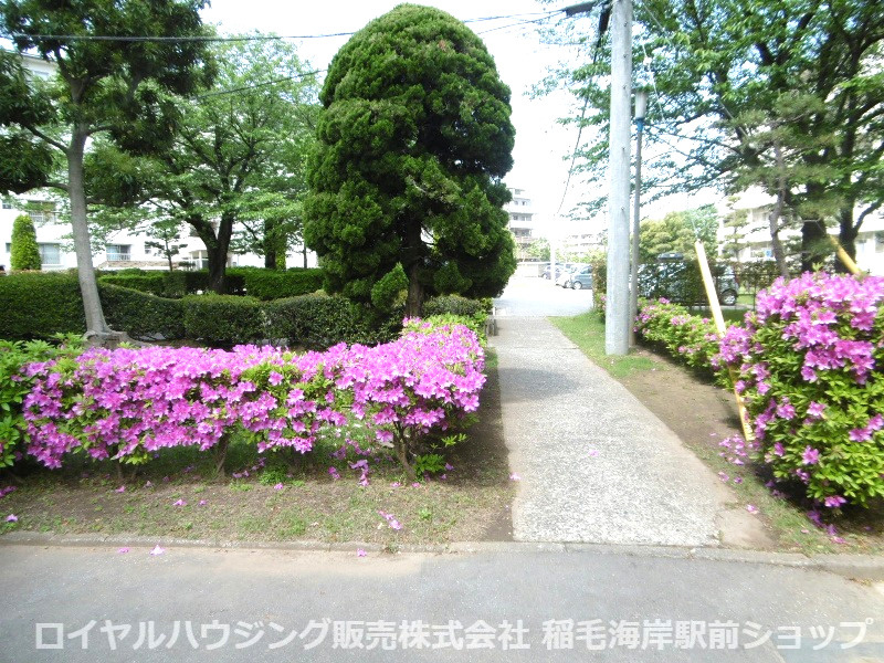 の-の画像