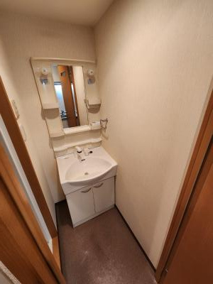 G・F二条城（グランフェニックス二条城）の洗面所