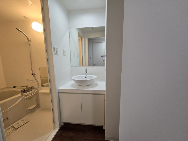 Viare storia|名古屋市の賃貸ならMy賃貸の洗面所|Viare storia