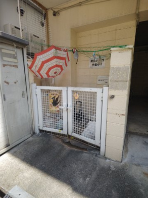 【その他】 | メゾン大和田