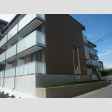 レオネクストレ　マーニの画像