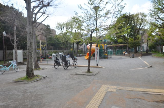 サンセゾン若松町の周辺|建物の正面には公園が有ります。