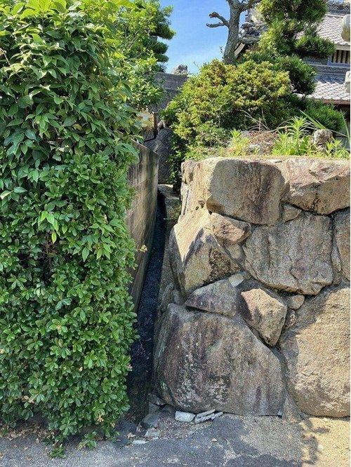 川津町　売土地のその他|その他屋外