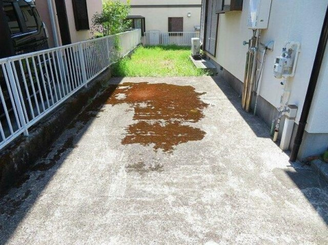 高知市横浜新町１丁目　中古一戸建ての庭|お庭の付いた物件です