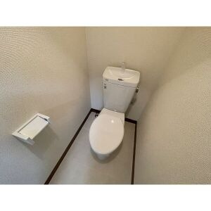 グリーンハイツのトイレ