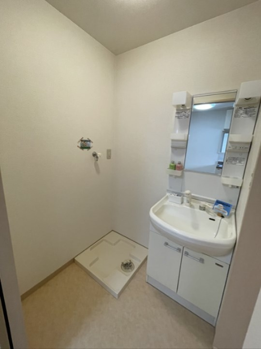 第二コーポサチの洗面所