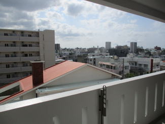 【その他】 | ルピナス順風