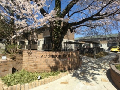 【エントランス】 | メゾン医大前桜 Ｇ | エントランス