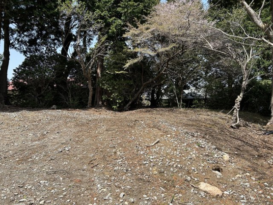 【外観】 | 天城高原別荘地　売地