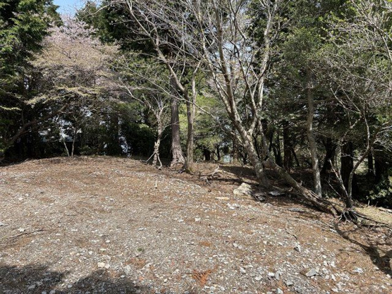 【外観】 | 天城高原別荘地　売地