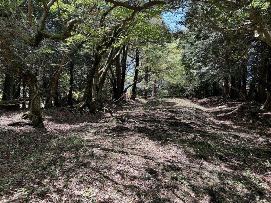 【外観】 | 天城高原別荘地　売地