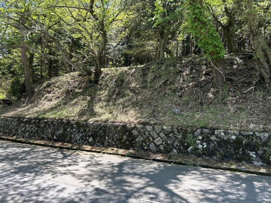 【前面道路含む現地写真】 | 天城高原別荘地　売地