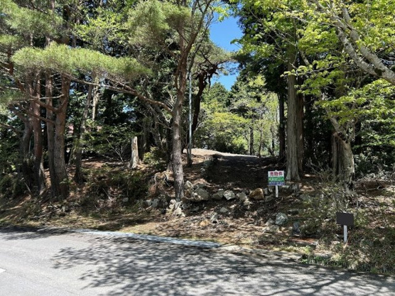 【前面道路含む現地写真】 | 天城高原別荘地　売地
