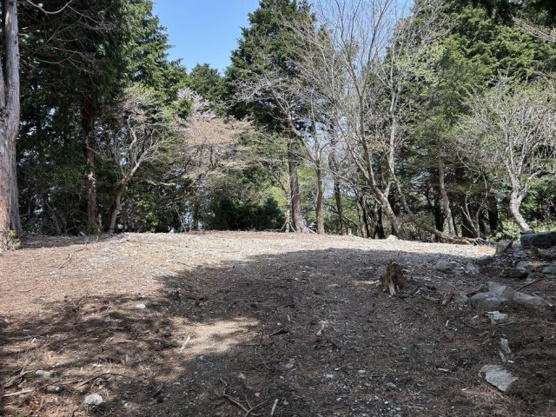 【外観】 | 天城高原別荘地　売地