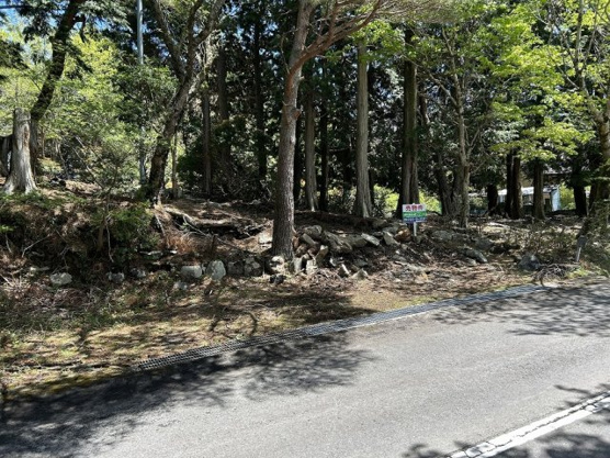 【前面道路含む現地写真】 | 天城高原別荘地　売地